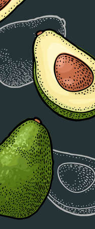 Avocado whole and half. Vector color and monochrome vintage engraving isolated on dark background....