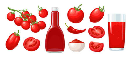 Ketchup bottle, chilli, tomato sauce in a plate, juice, branch, half and slice and slice tomatoes. Vector flat color illustration. Isolated on white background.のイラスト素材