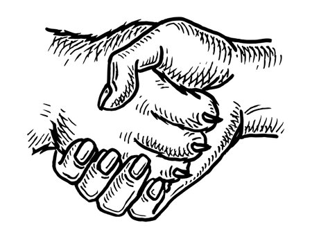 Cat claw scratching scrape track. Vector black engraving vintage illustration isolated on a white background. For web, poster, info graphic, t-shirtのイラスト素材