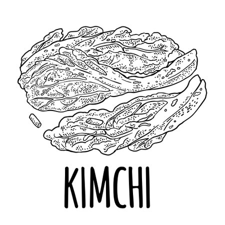 Korean food kimchi. Vintage black vector engraving illustration. Isolated on white background. Hand drawn design element for label, poster, menuのイラスト素材