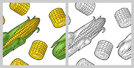 Seamless pattern ripe corn cob with and without leaves. Vector color vintage engraving illustration. Isolated on white background. Hand drawn design element for label and posterのイラスト素材