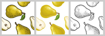 Seamless pattern fresh whole and slice pear. Isolated on the white background. Vector color hand...