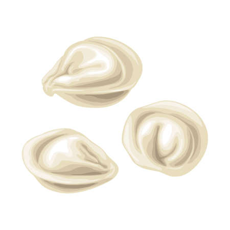 Dumpling. Vintage color vector illustration. Isolated on whiteのイラスト素材