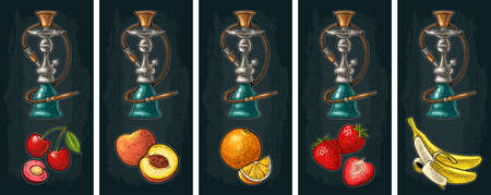Hookah with cherry, strawberry, peach, orange, banana. Vector vintage engraving