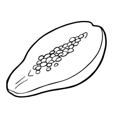 Half papaya. Vector vintage engraving black. Isolated on whiteのイラスト素材
