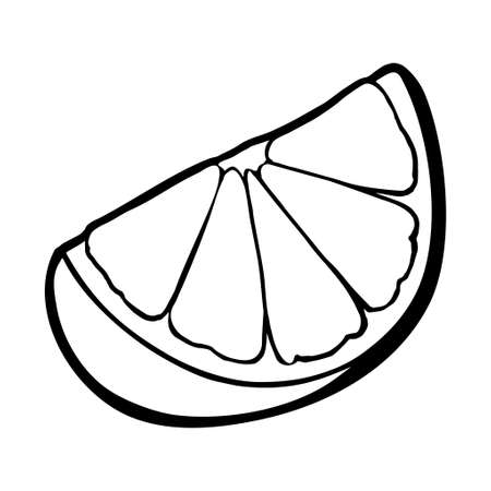 Lemon slice. Isolated on white background. Vector black vintage engravingのイラスト素材