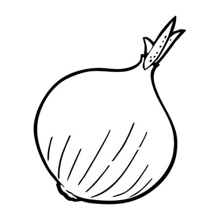 Whole onions. Vector black vintage engraved illustration for menu, poster, label. isolated on white backgroundのイラスト素材