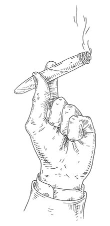 Male hand holding burning cigar. Engraving vintage vector black illustration. isolated on white background. hand drawn ink design elementのイラスト素材