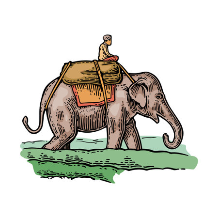 Rider on elephant. Vector color vintage engraving illustrationのイラスト素材