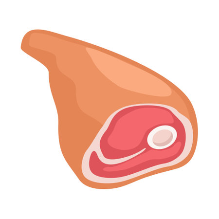 Raw haunch with bone. Vector color vector illustration. Icon isolatedのイラスト素材