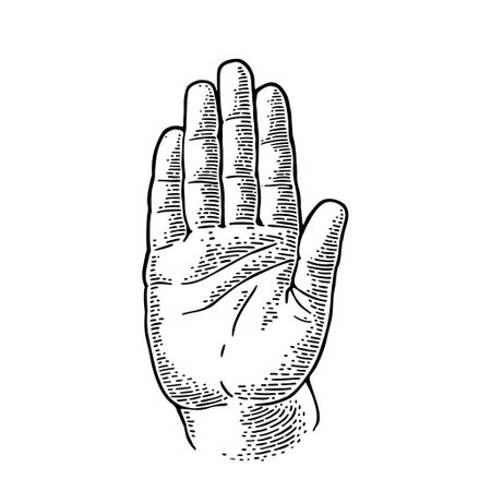 Hand showing stop gesture. Front view. Vector monochrome vintage engraving illustration isolated on a white background. For web, poster, info graphic.のイラスト素材