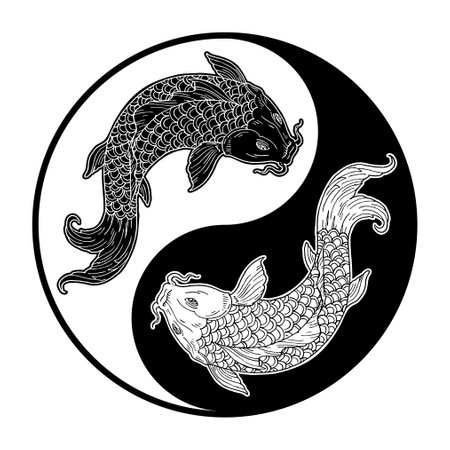 Two koi carps. Yin yang symbol. Vintage vector engraving black monochrome illustration. Isolated on white background. Hand drawn design inkのイラスト素材