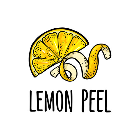 Lemon slice and peel twirled. Vector color vintage engravedのイラスト素材