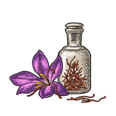 Bottle with dry threads. Saffron flower with stamens. Engravingのイラスト素材