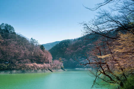 View of Okutama Lake in Tokyo Prefecture from the trail head on the western shoreline of the lake during early spring.の写真素材