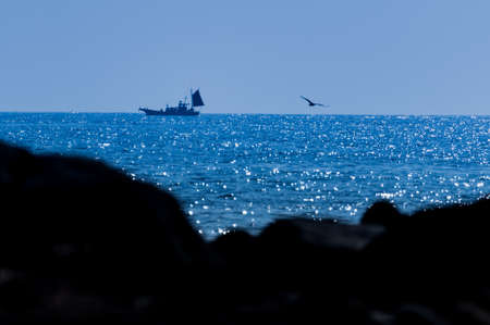 A variety of fishing boats can be seen from the coast of Cape Manazuru (Kanagawa Prefecture, Japan), including commercial fishing boats and hired cruisers taking guests out to sea for some deep sea fishing. The local economy is based on bounties brought in from the sea.の写真素材