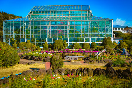 The Tsumekizaki Flower Park includes a greenhouse where you can appreciate tropical fruits and subtropical plants such as bananas, papaya, bougainvillea, and pandanus (screw pine or screw palm).の写真素材