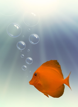 Fish and Bubbles with light, underwaterの写真素材