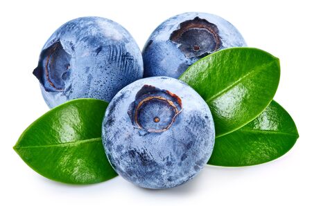 Blueberry isolated on whiteの写真素材