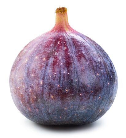 Fig isolated on whiteの写真素材