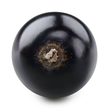 Black currant isolated on whiteの写真素材