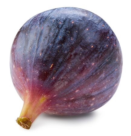 Fig isolated on whiteの写真素材