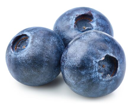 Three blueberry Isolated with clipping path on a white background.の写真素材