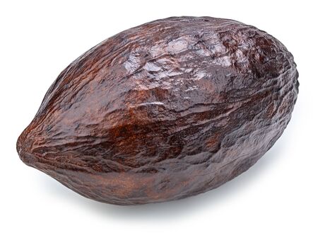Cacao fruits pod isolated on white background. Cacao pod Isolated with clipping path.の写真素材