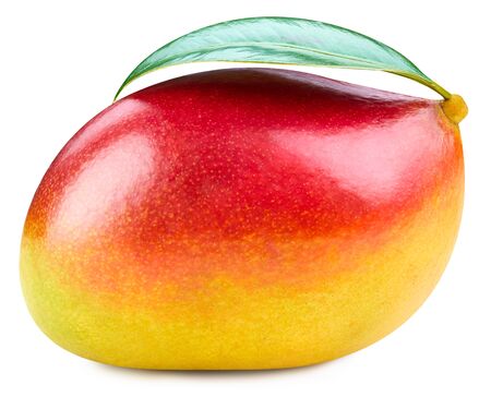 Mango isolated on white Clipping Pathの写真素材