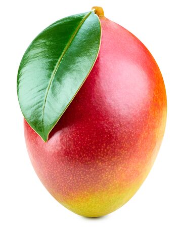 Mango isolated on white Clipping Pathの写真素材