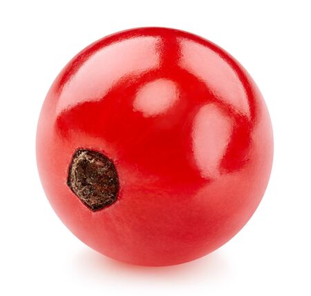 Red currant isolated on whiteの写真素材