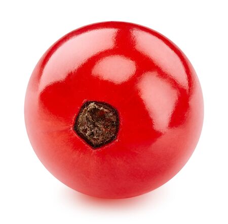 Red currant isolated on whiteの写真素材