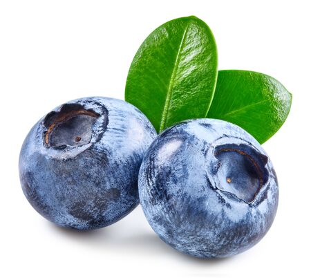 Blueberry isolated on whiteの写真素材