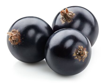 Black currant isolated on whiteの写真素材