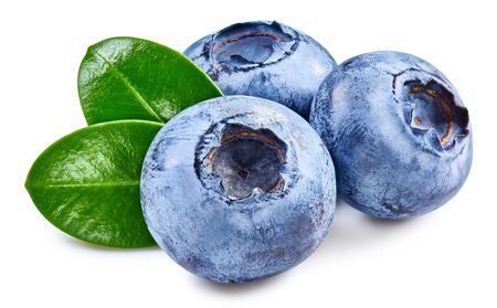 Blueberry isolated on whiteの写真素材