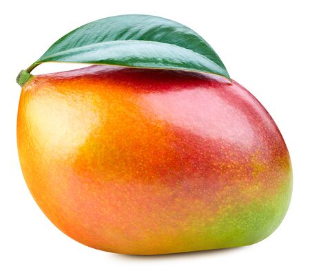 Mango isolated on white Clipping Pathの写真素材