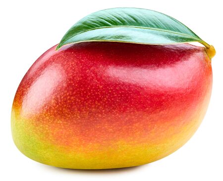 Mango isolated on white Clipping Pathの写真素材