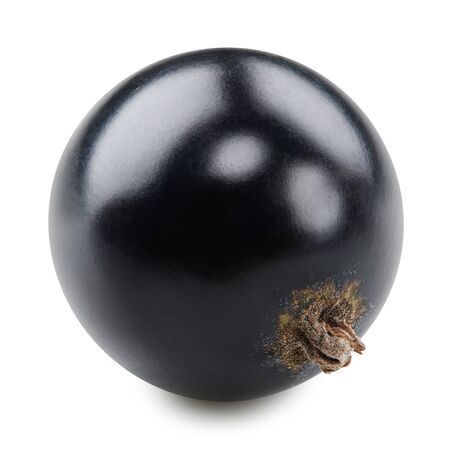 Black currant isolated on whiteの写真素材