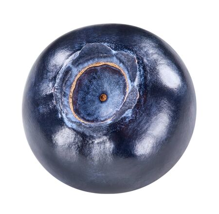 Blueberry isolated on whiteの写真素材