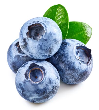 Blueberry isolated on whiteの写真素材