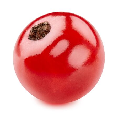Red currant isolated on whiteの写真素材