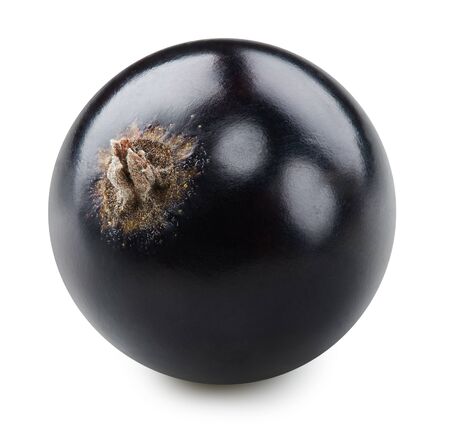 Black currant isolated on whiteの写真素材