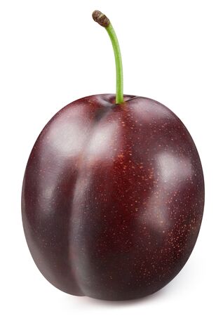 Ripe plum isolated on white background.の写真素材