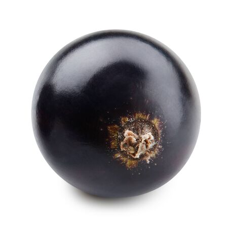 Black currant isolated on whiteの写真素材