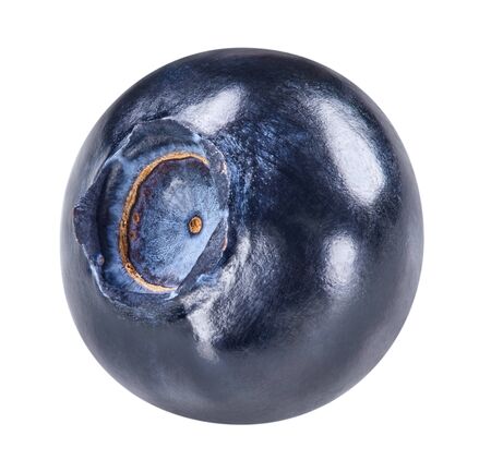 Blueberry isolated on whiteの写真素材
