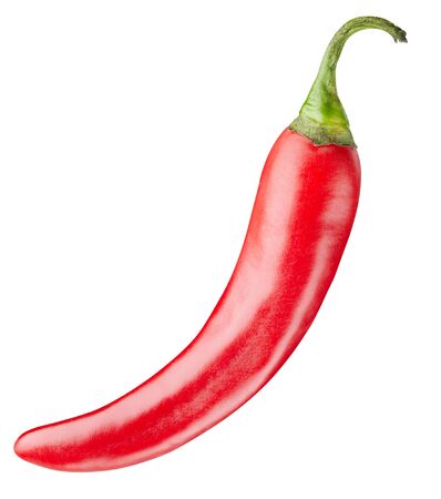 chili pepper isolated on whiteの写真素材