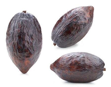 cacao isolated on white backgroundの写真素材
