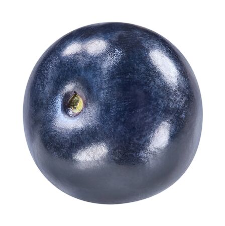 Blueberry isolated on whiteの写真素材