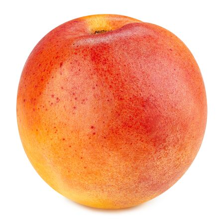 Apricot fruit isolatedの写真素材