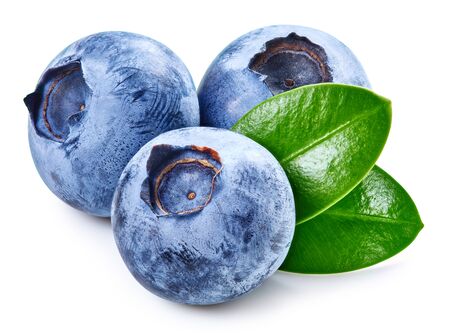 Blueberry isolated on whiteの写真素材